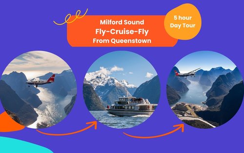 Crociera e tour in volo a Milford Sound