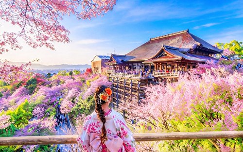 Kyoto and Nara Day Trip | Kiyomizu-dera Temple + Fushimi Inari Shrine + Nara Park (Departure from Osaka/Kyoto)