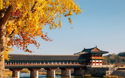 慶州賞楓一日遊（釜山出發）