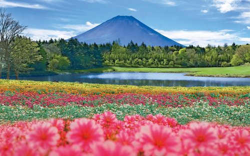 Fuji Motosuko Resortbiljett