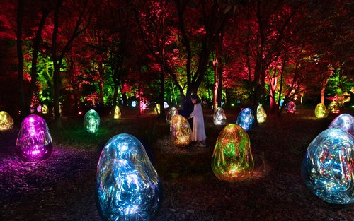 チームラボ ボタニカルガーデン 大阪（日本）の人気アクティビティ（2025）