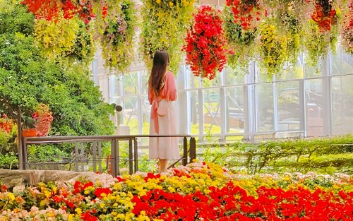 베고니아 새 정원/ 남이섬/ 레일 바이크/ 아침고요수목원/ 쁘띠프랑스