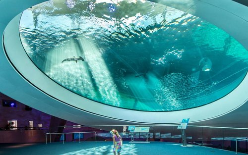 Phillip & Patricia Frost Museum of Science Ticket in Miami