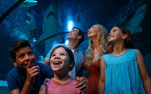陽光海岸海洋生物水族館門票