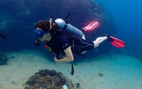 Aqua Paradise: Koh Samui Advanced Course with PADI 5 Star center
