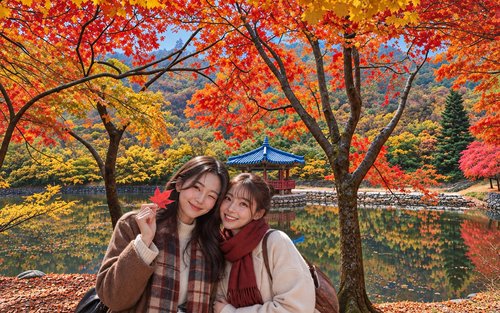 內藏山國家公園賞楓一日遊(首爾 / 釜山出發)