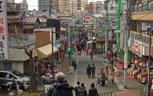 Tokyo Nezu Shrine & Ueno Ameyoko Half-Day Walking Tour