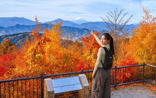 Tokyo Mt. Takao & Showa Kinen Park Autumn Tour with Ropeway