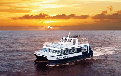 Sunset Dinner Cruise an Bord der Quicksilver vom Maalaea Harbor