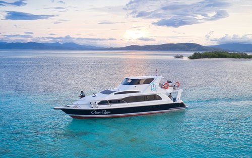 Komodo Full Day Speedboat Tour from Labuan Bajo