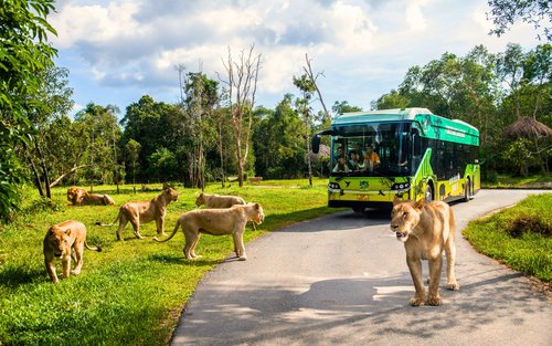 Biglietto Vinpearl Safari Phu Quoc