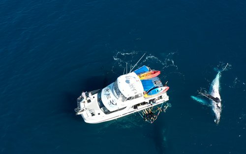 Lawatan ke Fraser Island & Pengalaman Melihat Ikan Paus