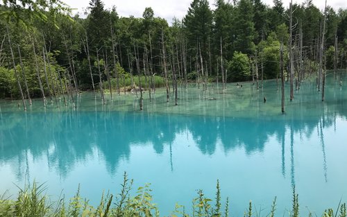 運転手付き札幌チャーター車：ニセコ / 洞爺湖 / 富良野 / 函館 / 小樽