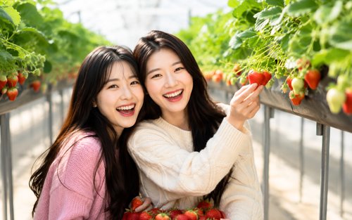 Nami, Samaksan ,Strawberry Picking, Eobi Ice Valley From Seoul
