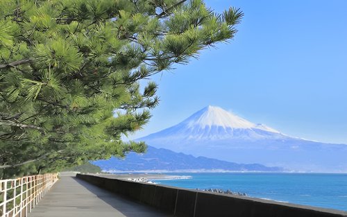 Shimizu, Shizuoka: Tour Personalizado Privado com Guia Local