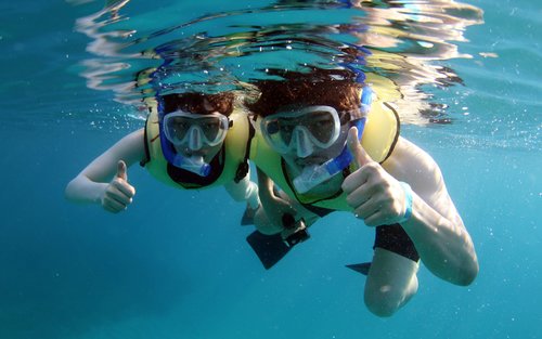 Luxury Morning Snorkel Cruise with Whale & Dolphin Watching in Oahu