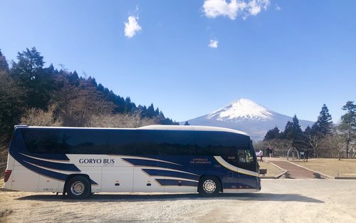 Tokyo Fuji Mountain and Lake Kawaguchi Day Trip