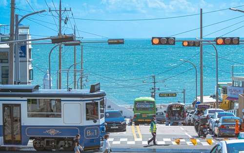 감천문화마을, 해운대 블루라인 파크 당일 투어
