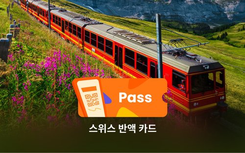 스위스 반액 카드