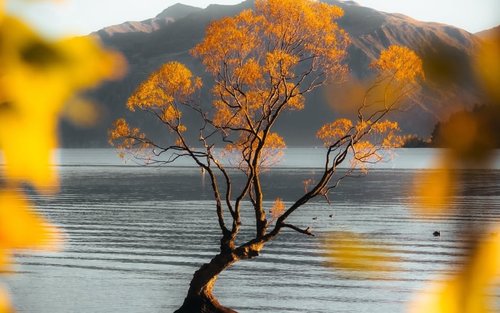 皇后镇8大景点小团全日探索之旅