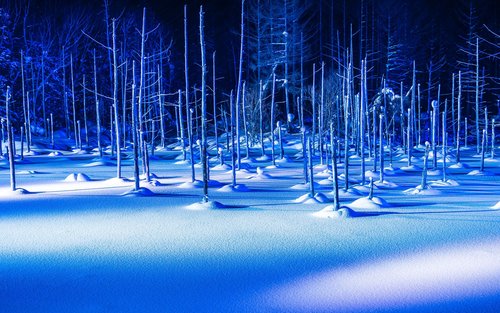 [늦은 출발] 삿포로 출발 비에이 5곳 (크리스마스 트리 & 기타)