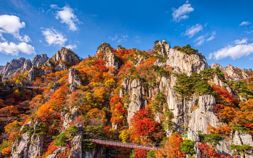 Daedunsan Autumn Foliage & Buyeo Baekje Heritage Day Tour from Seoul