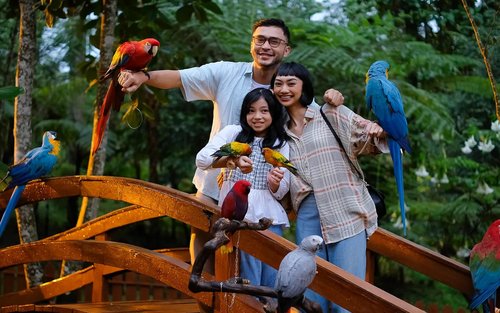 Vé Orchid Forest Cikole ở Bandung