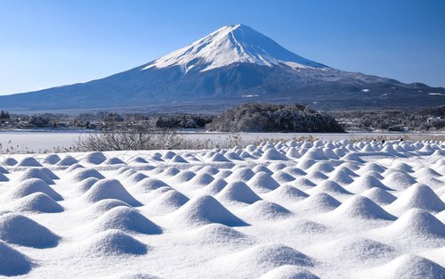 Mount Fuji Oishi Park/ Oshino Hakkai/ Little Edo Kawagoe/ Arakura Fuji Sengen Shrine/ Lake Yamanaka Swan Boat/ Fuji-Q Highland Konoha Ninja Village (Departure from Shinjuku)