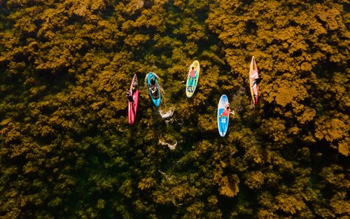 Half-day Private SUP Tour in Quy Nhon