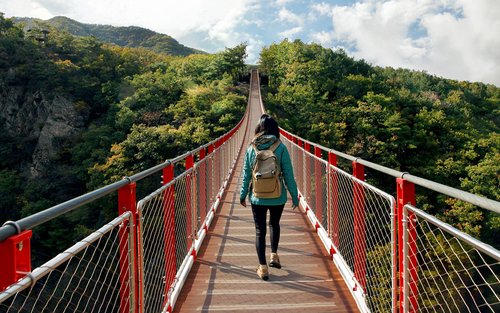 DMZ(비무장지대) 북한 이탈 주민과의 만남/감악산 출렁다리