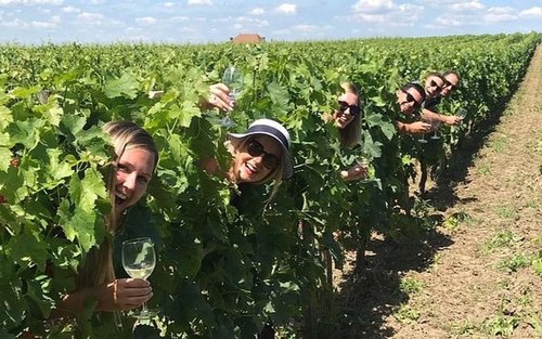 Wine tour