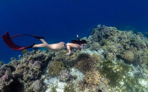 2-Day Basics of Freediving Course in Batangas