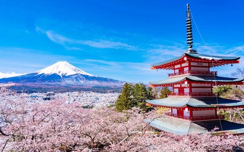 [Mount Fuji Tour & Outlet Shopping/Hot Springs Trip] Mount Fuji 5th Station/Arakurayama Sengen Park & Oshino Hakkai & Gotemba Premium Outlets/Hot Spring Day Trip (with Lunch Option, Departing from Tokyo)