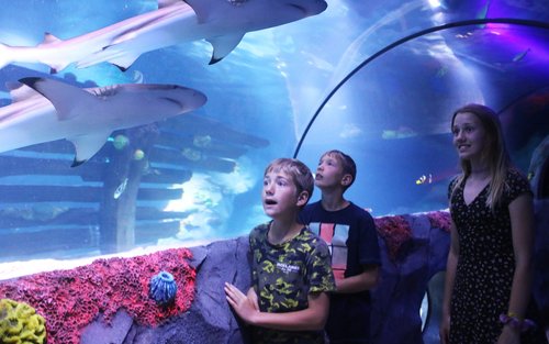 Biglietto per Sea Life Konstanz