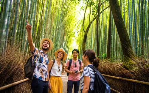 Ultimative Kyoto Arashiyama Tour: Bambus, Affen, Zen-Gärten & Edelsteine