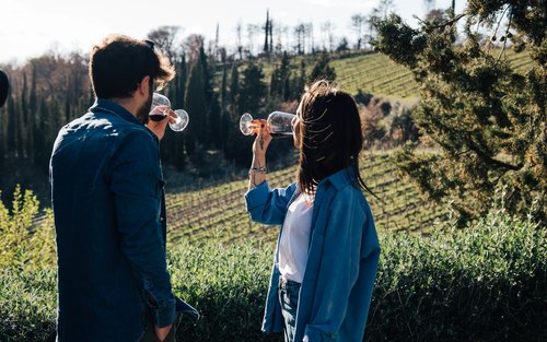 Chianti Day Tour from Florence