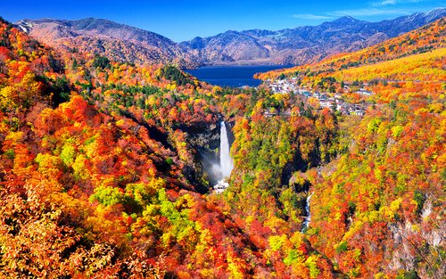 Tochigi Nikko Mountain Water Secret Realm | Toshogu Irohazaka Road Lake Chuzenji Kegon Falls Day Trip | Departing from Tokyo/Shinjuku