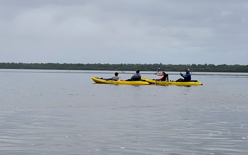 Everglades National Park Kayaking and Nature Walk with a Naturalist