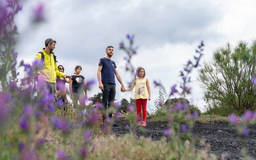 卡塔尼亚埃特纳火山半日游，含产品品尝