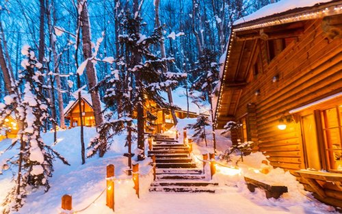 【北海道冬天推薦】旭山動物園&聖誕樹&白鬚瀑布&青池或四季彩&精靈露臺一日遊|札幌出發