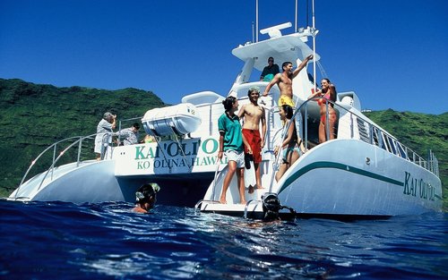 Luxury Afternoon Snorkeling Cruise and Dolphin Watch from Ko Olina