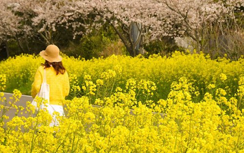 [호텔 픽업] 제주 유네스코 당일 투어