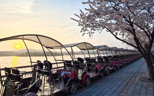 Suwon Hwaseong Fortress & Rail Bike: Ganztägiges Erlebnis