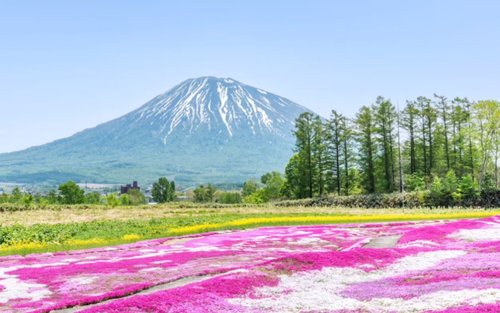 Sapporo Lake Shikotsu & Jozankei Full-Day Nature Tour