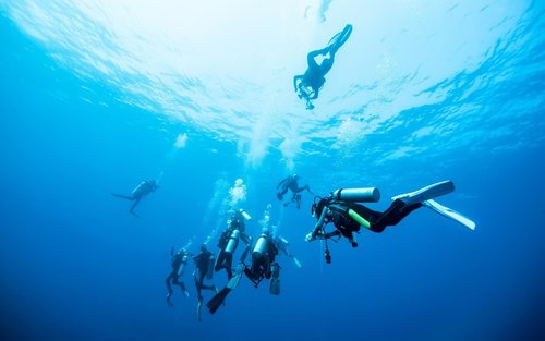 春蓬PADI高级潜水体验（五星级潜水中心）