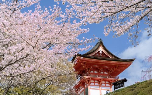 西陣織会館：旅行前に知っておきたいおすすめ情報
