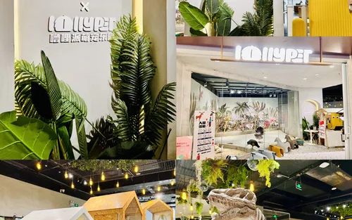  Lollypet萌宠乐园（萌宠来自深圳野生动物园）