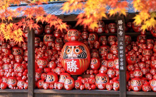 勝尾寺祈福達摩・京都嵐山・清水寺:午餐可升級A5黑毛和牛「神戶牛」(贈送抹茶體驗)