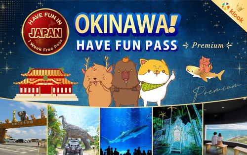 Have Fun in Okinawa Premium Pass