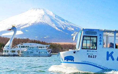 富士山山中湖KABA兩棲巴士/白鳥號&平野之濱&河口湖大石公園&忍野八海一日遊｜東京出發